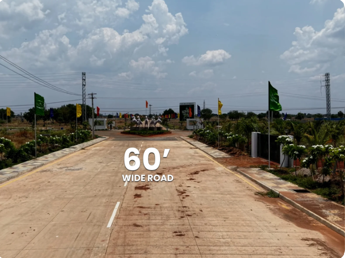 60' Wide Road Infrastructure