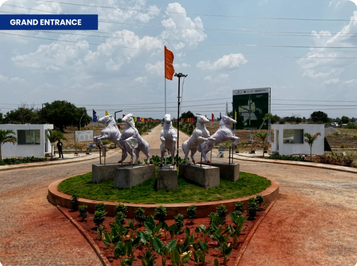 Grand Entrance Horse Circle